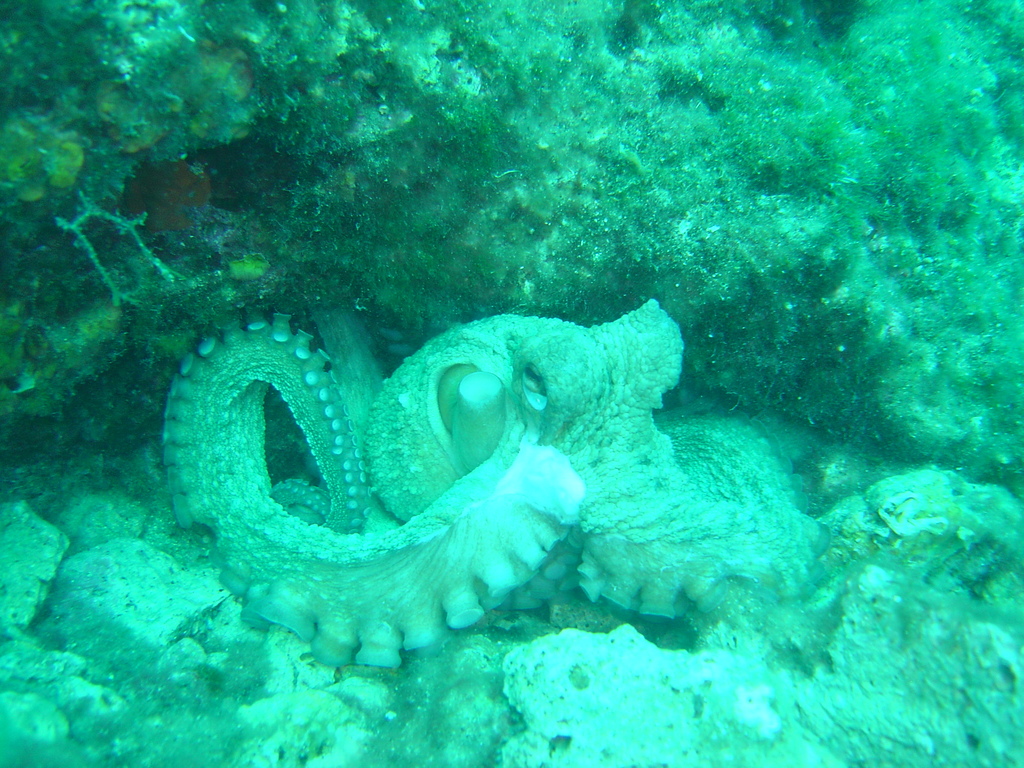 DSC00073.JPG