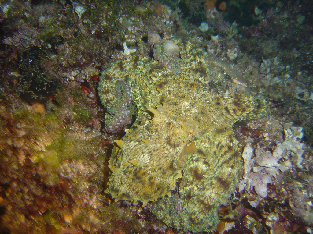 DSC00078.JPG