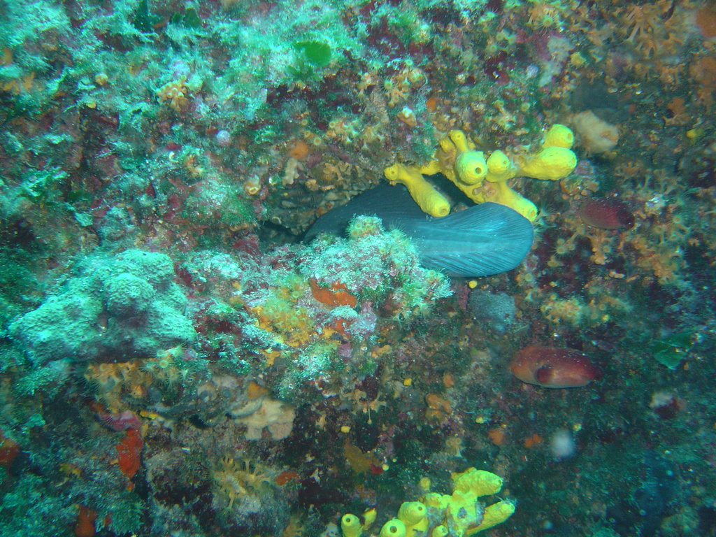 DSC00081.JPG