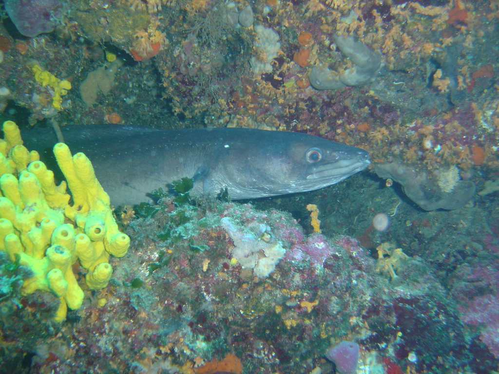DSC00084.JPG
