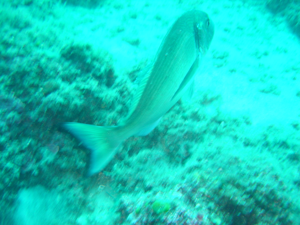 DSC00089.JPG