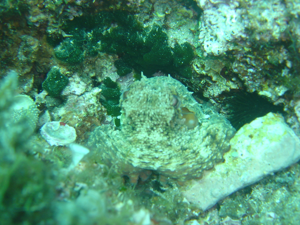 DSC00090.JPG