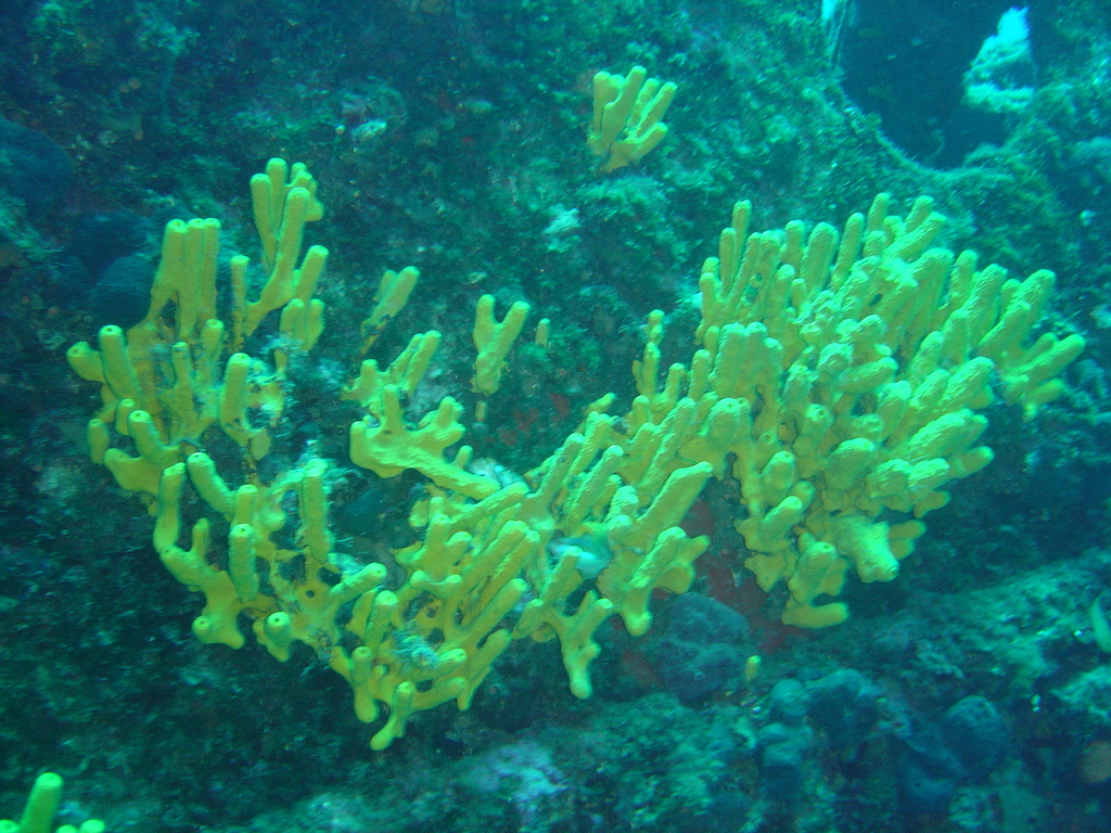 DSC00097.JPG