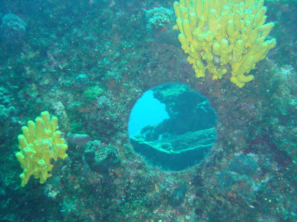 DSC00098.JPG