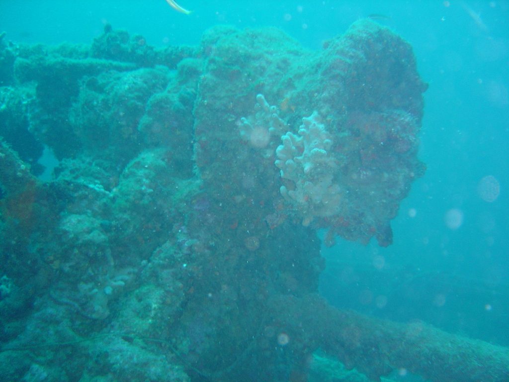 DSC00107.JPG