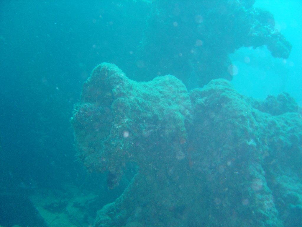 DSC00115.JPG