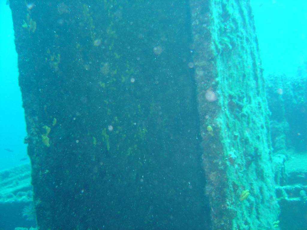 DSC00125.JPG