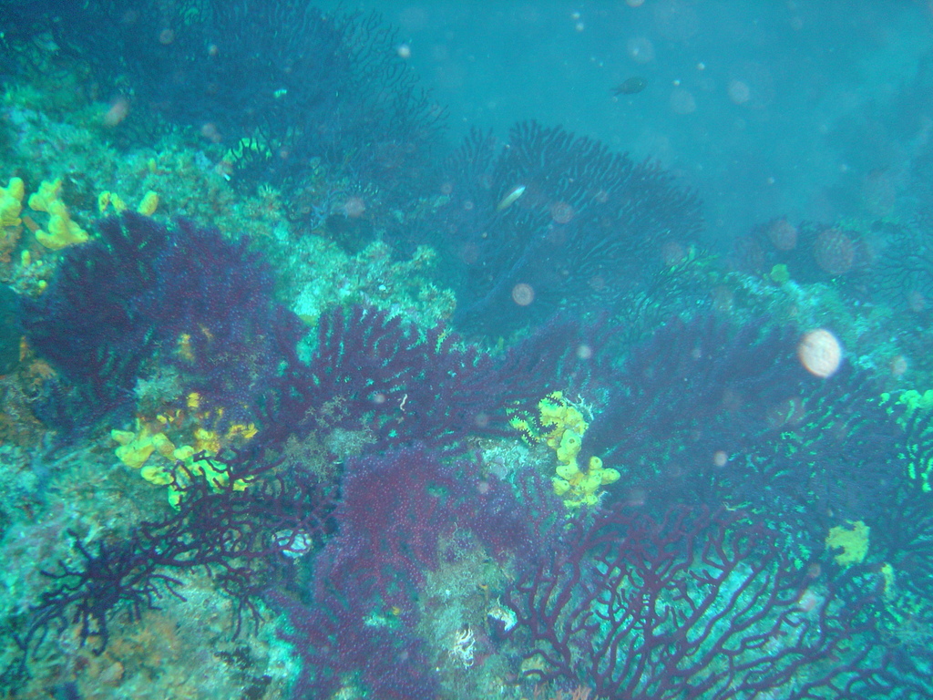 DSC00139.JPG
