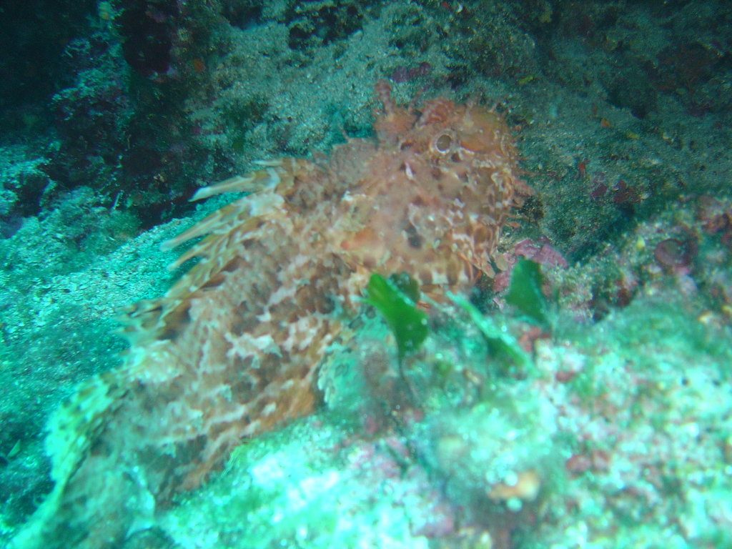 DSC00142.JPG