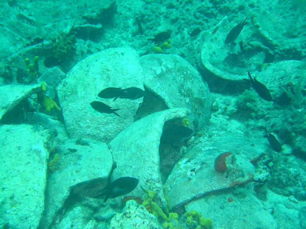 DSC00154.JPG