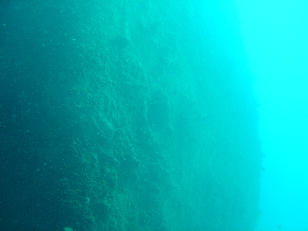 DSC00178.JPG