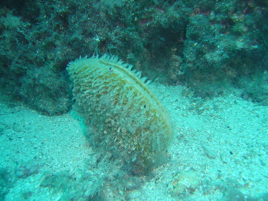 DSC00216.JPG