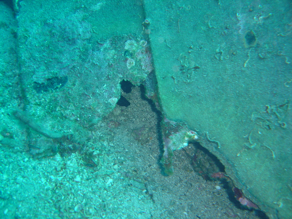 DSC00240.JPG