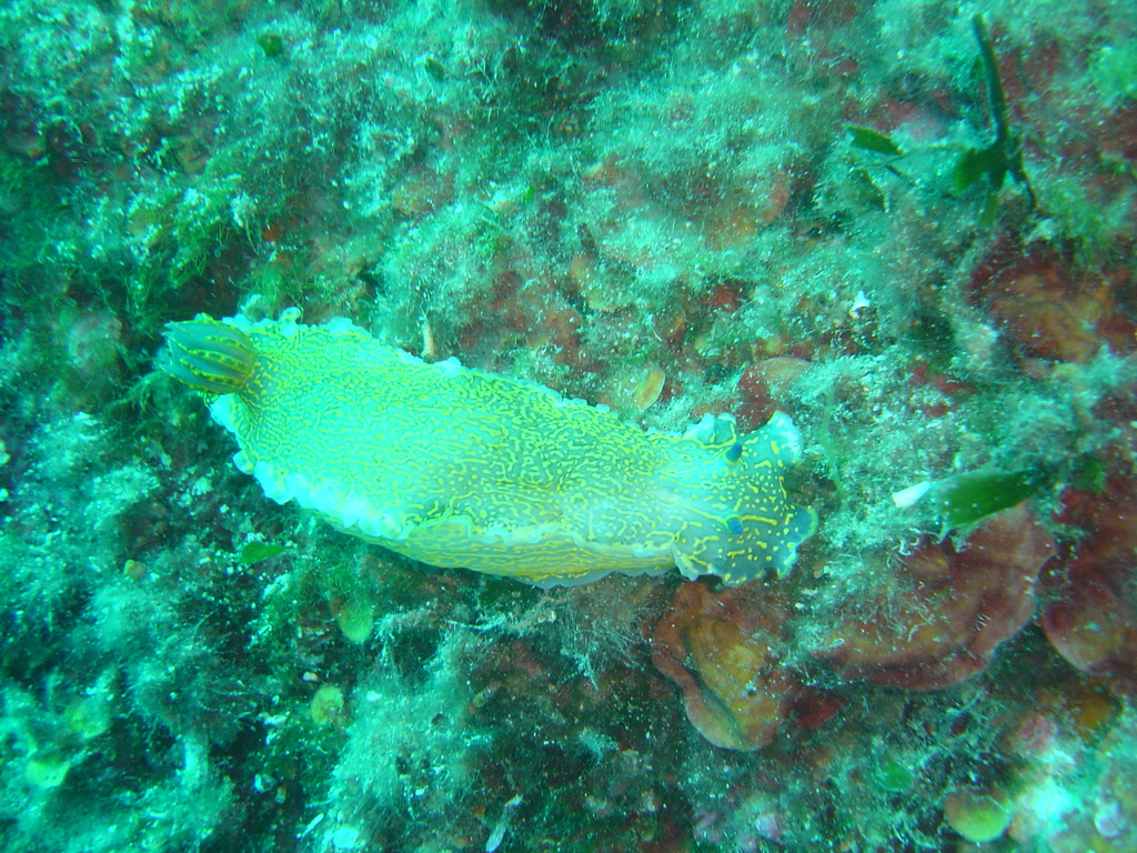 DSC00244.JPG