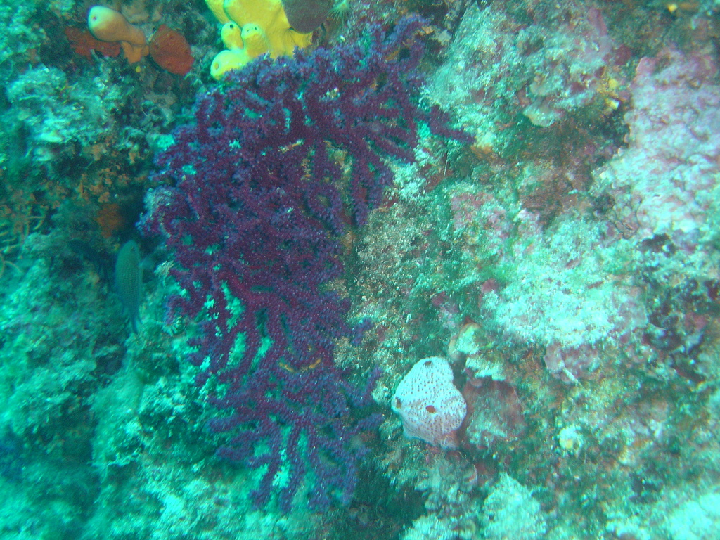 DSC00245.JPG