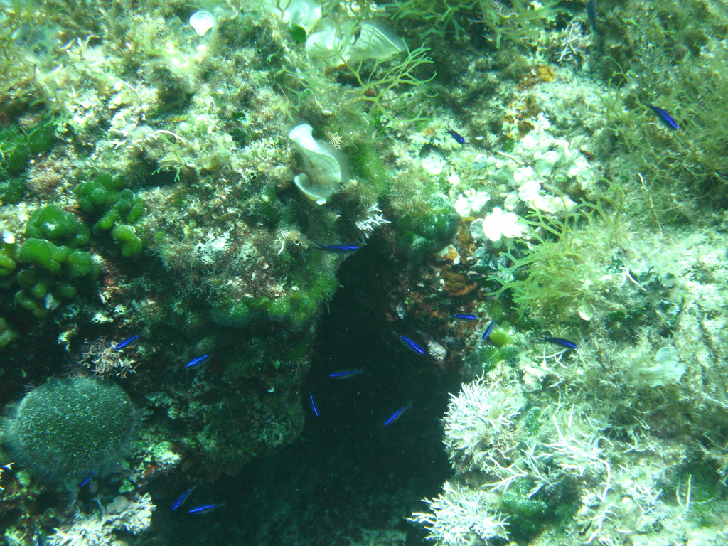 IMG_3852.jpg