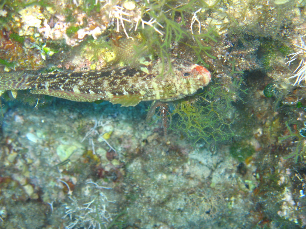 IMG_3873.jpg