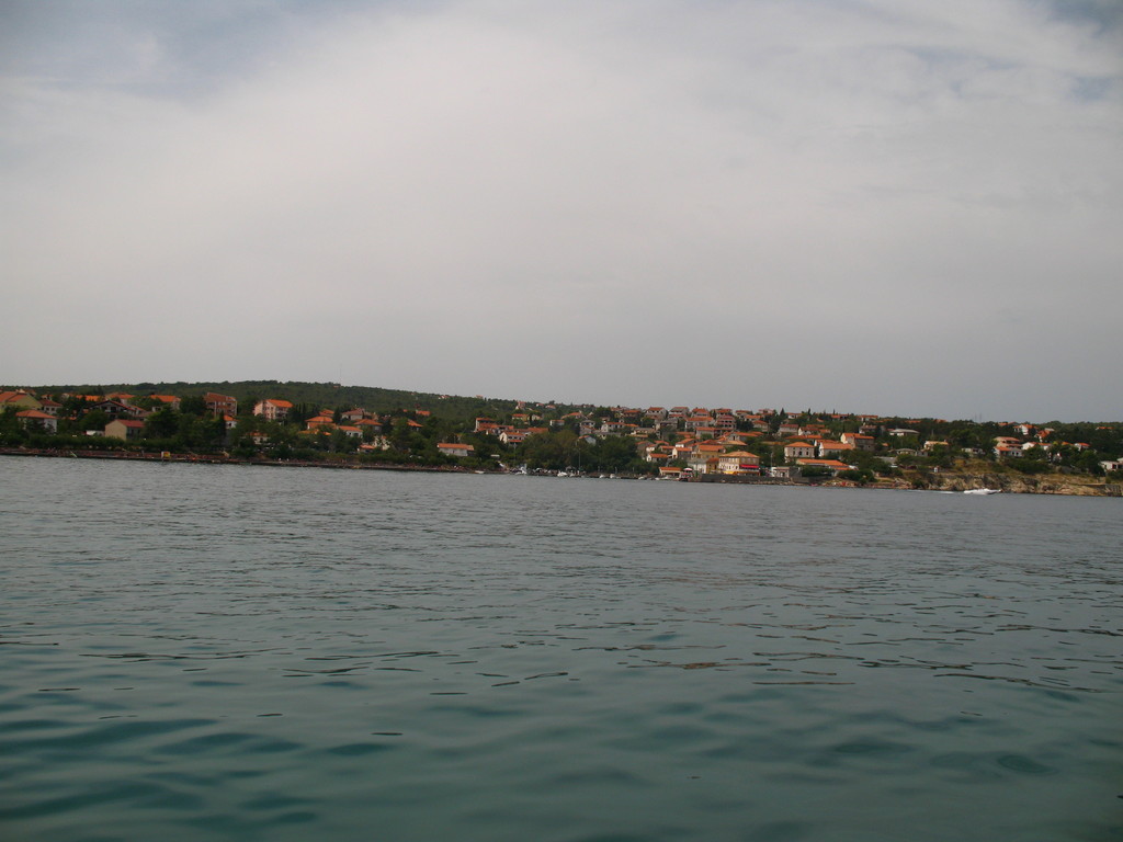 IMG_3878.jpg