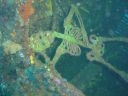 DSC00120.JPG