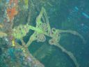 DSC00121.JPG
