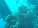 DSC00122.JPG