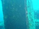 DSC00125.JPG