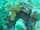 DSC00128.JPG