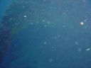 DSC00131.JPG