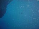 DSC00132.JPG