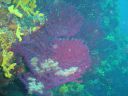 DSC00138.JPG