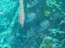 DSC00140.JPG