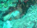 DSC00141.JPG