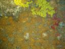 DSC00144.JPG