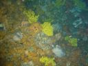 DSC00146.JPG