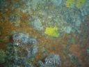 DSC00147.JPG