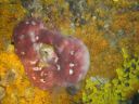 DSC00148.JPG