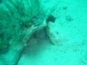 DSC00152.JPG
