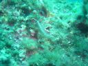 DSC00155.JPG