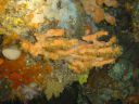 DSC00157.JPG