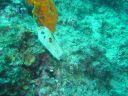 DSC00159.JPG