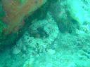 DSC00161.JPG