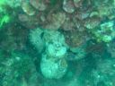 DSC00162.JPG
