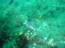 DSC00163.JPG