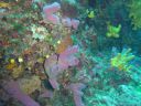 DSC00173.JPG