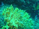 DSC00174.JPG