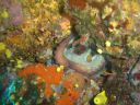 DSC00175.JPG
