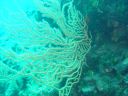 DSC00176.JPG
