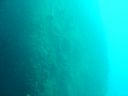 DSC00178.JPG