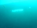 DSC00179.JPG