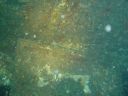 DSC00184.JPG